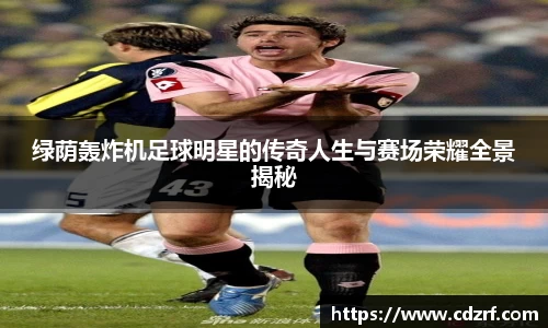 绿荫轰炸机足球明星的传奇人生与赛场荣耀全景揭秘